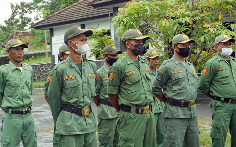 Satuan Perlindungan Masyarakat (Satlinmas)