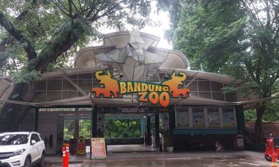 Bandung Zoo