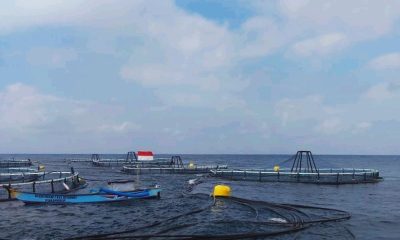 Keramba jaring apung di Pangandaran