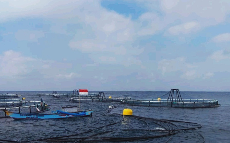 Keramba jaring apung di Pangandaran