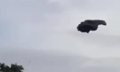 Gumpalan busa hitam di Subang