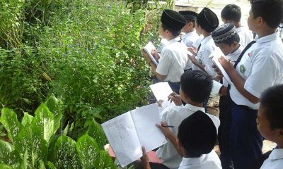 Belajar di alam terbuka