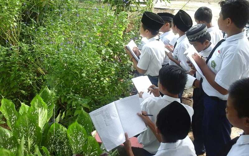 Belajar di alam terbuka