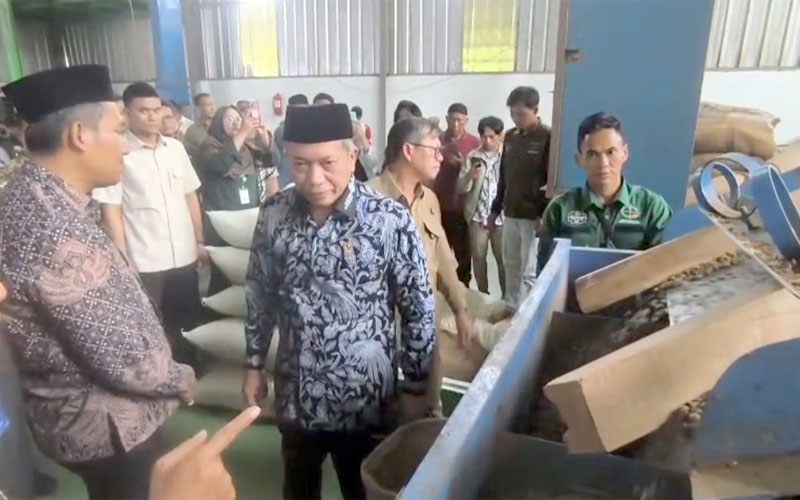 Ekspor kopi Robusta Subang