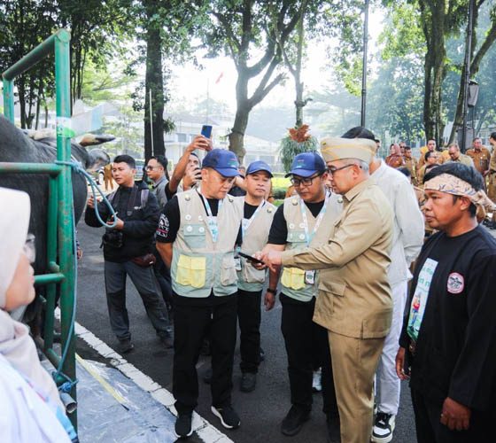 Wali Kota Bandung bersama petugas DKPP
